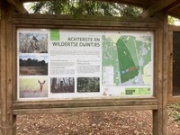 BUSUITSTAP OP 12 OKTOBER NAAR ESSEN VOOR DEELNAME AAN DE ROSE GRONONTOCHT